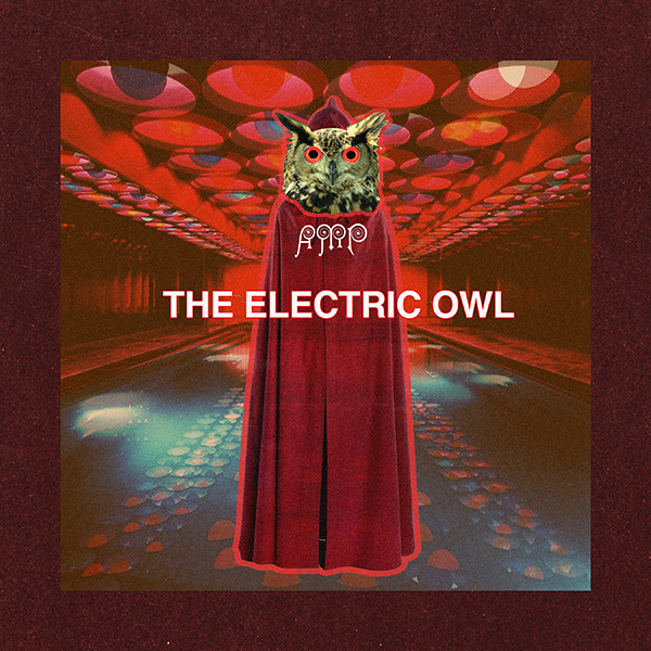 electric owl by austin meredith